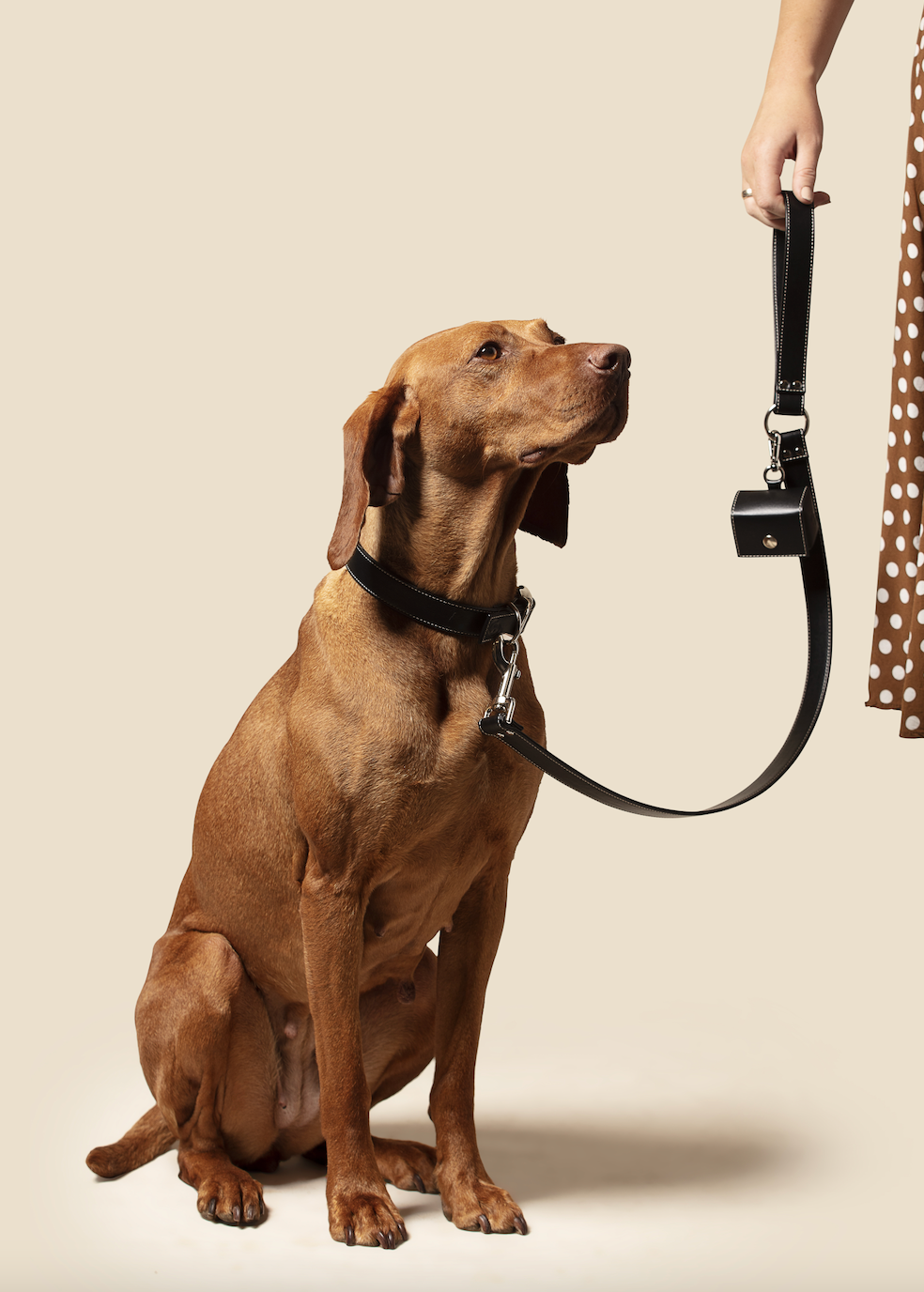 Luxury black leather dog lead with attachable poo bag holder. Made in england with apple leather
