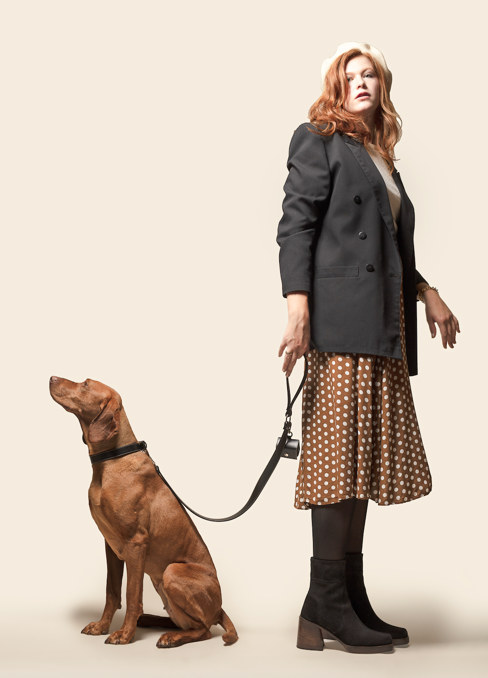 Dog wearing black apple leather collar, lead and poo bag accessory. Stood with model