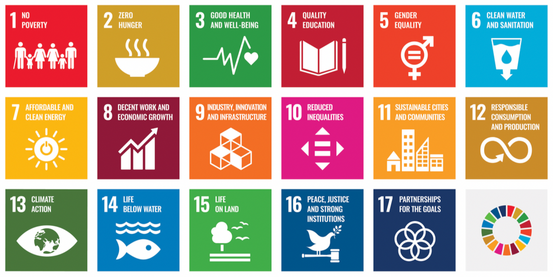 The United Nations Sustainable Development Goals - How we contribute to them