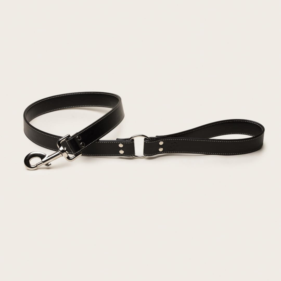 Ethical luxury british made dog lead. Made with vegan apple leather