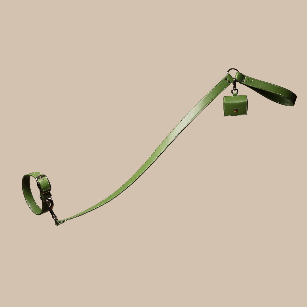 Green apple leather lead