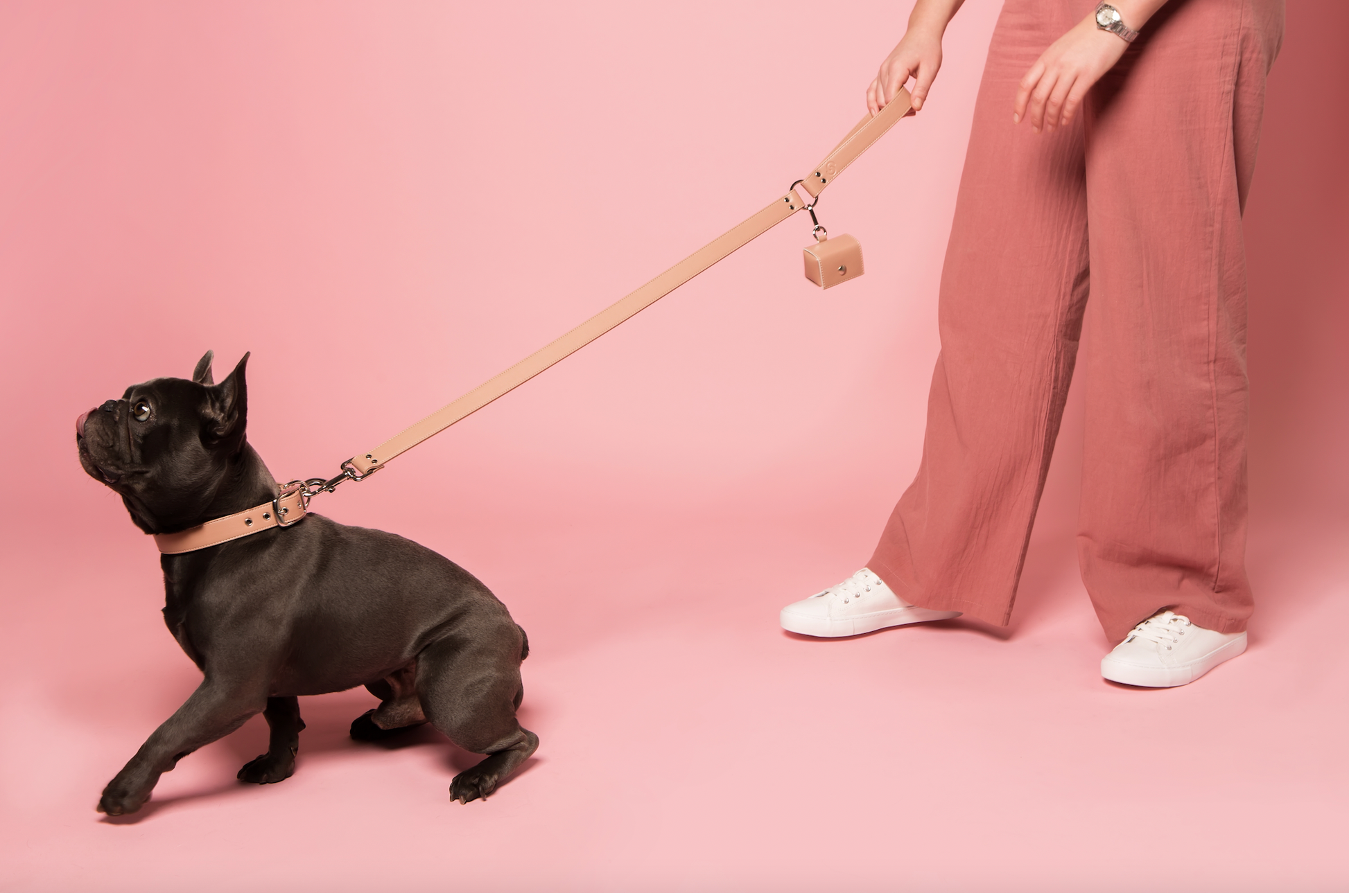 Blush pink medium dog collar, lead and poo bag holder