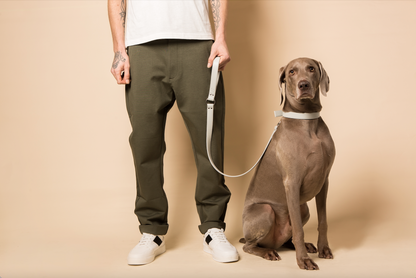Large dog wearing Skylos Collective XL collar and original dog lead with male model  