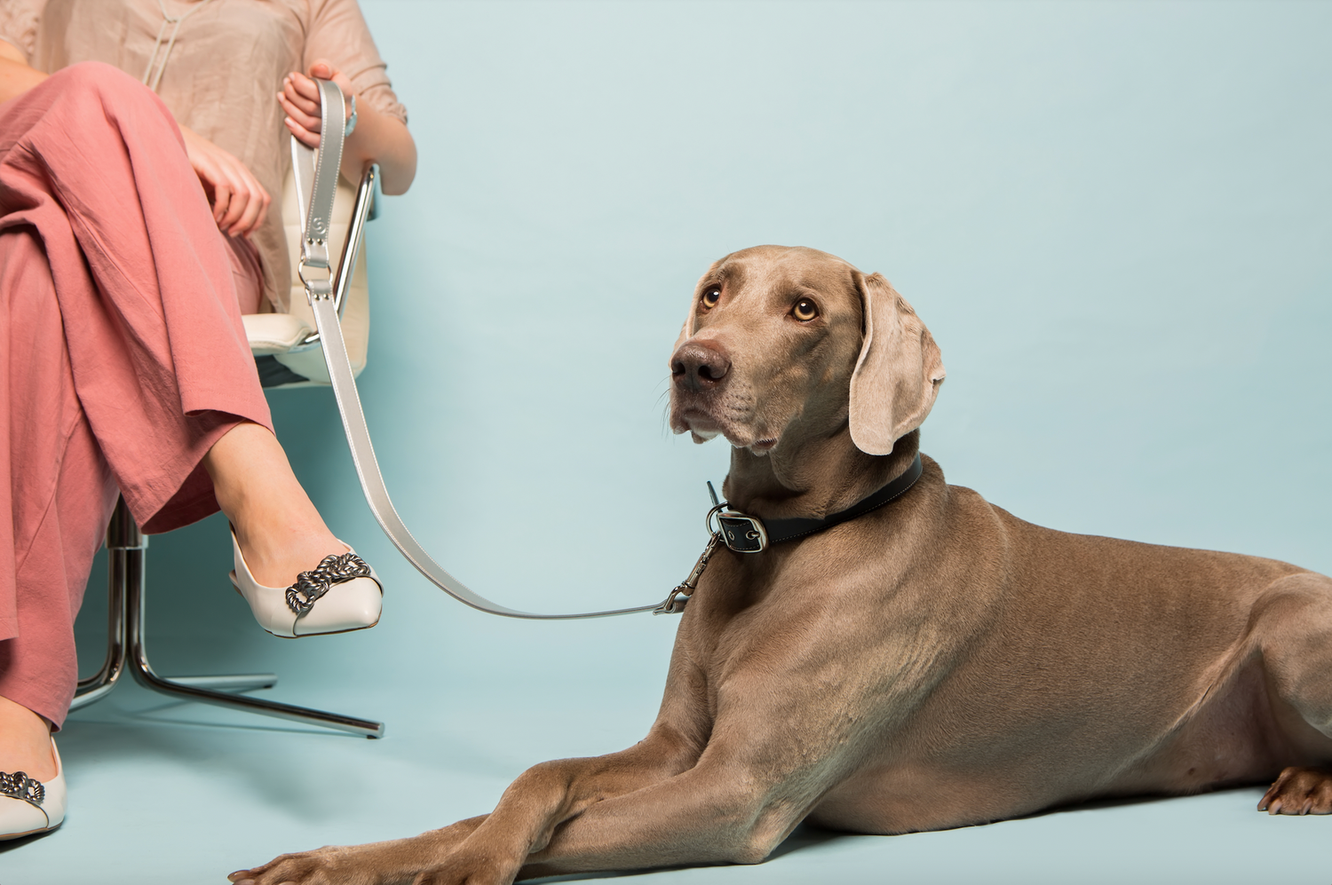 Silver apple leather dog lead Skylos Collective apple leather lead, handmade by atelier in England