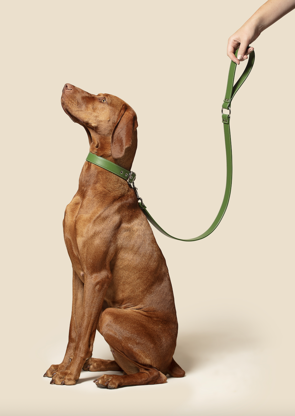 Green apple leather lead