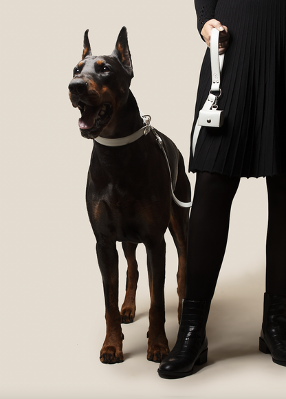 Large dog collar, leash and poop bag holder