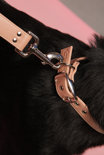 Skylos Collective vegan apple leather dog collar and lead in blush pink