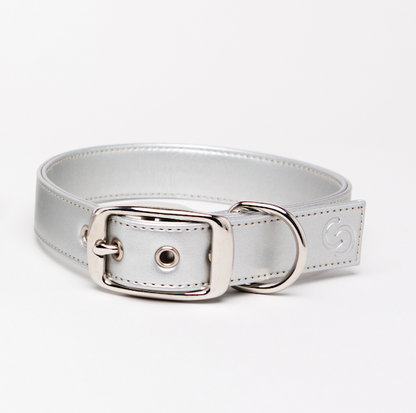 Silver apple leather dog collar Skylos Collective apple leather collar, handmade by atelier in England